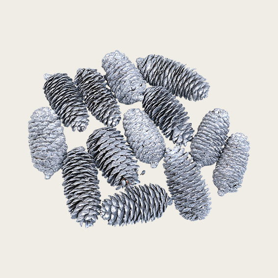 1141100_1