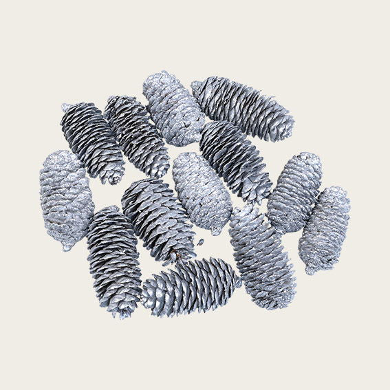 1141100_1