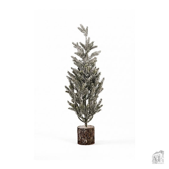 12021352.jpg