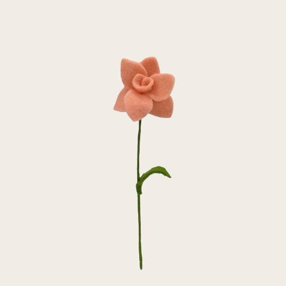 13304038.jpg