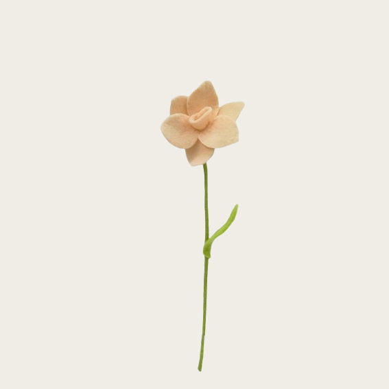 13304039.jpg