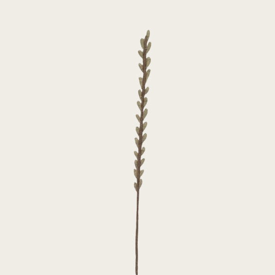 13304041.jpg