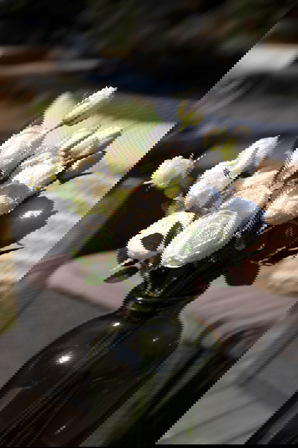 14874053_miljo01