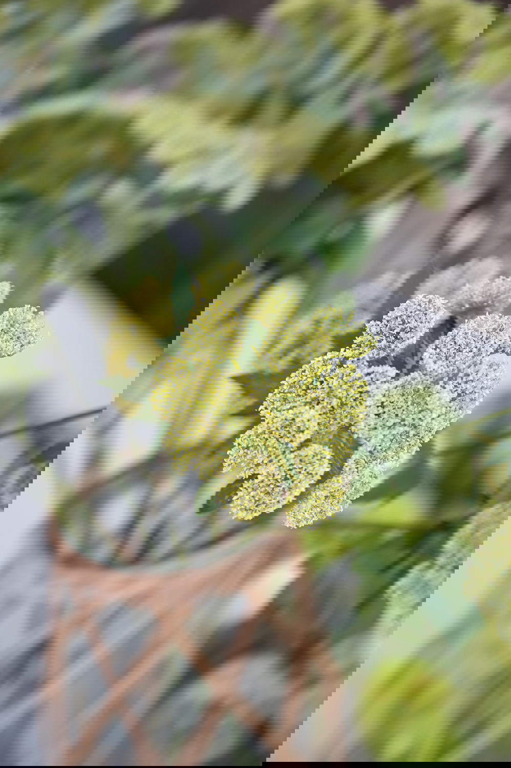 14874058_miljo02