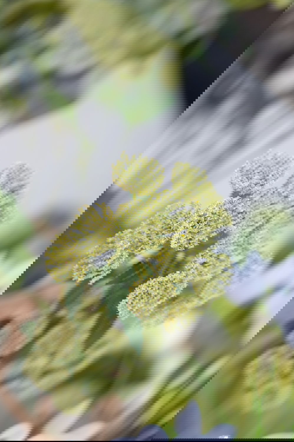 14874058_miljo03