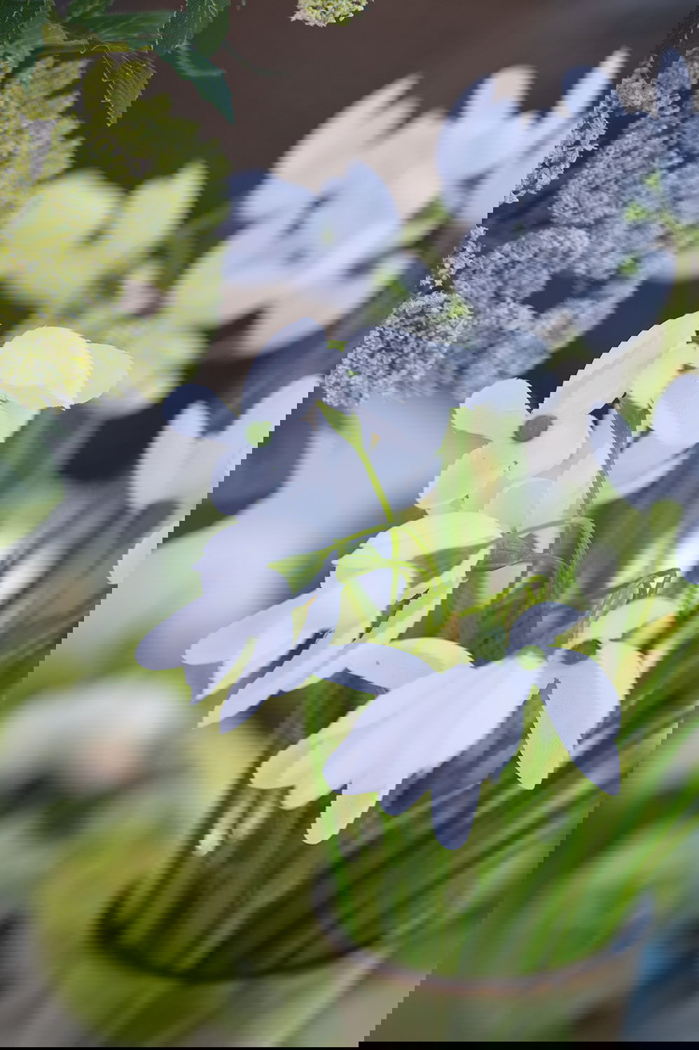 14874060_miljo01
