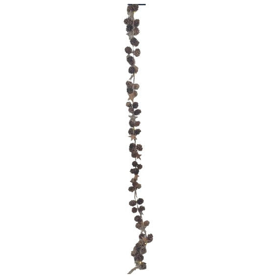 23471216.jpg