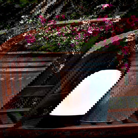 23884025