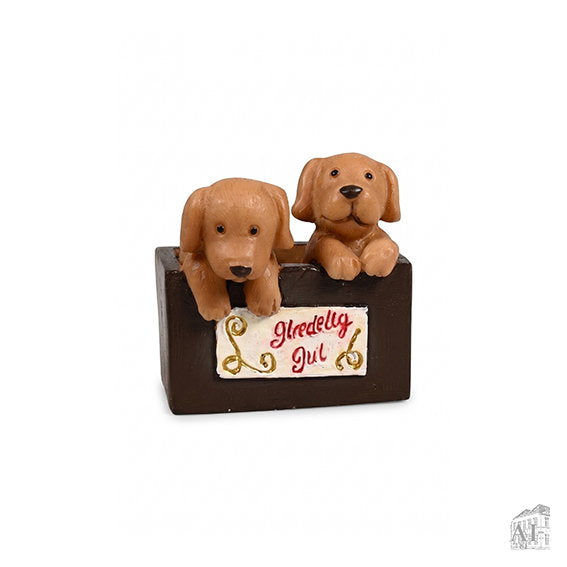 24001971.jpg