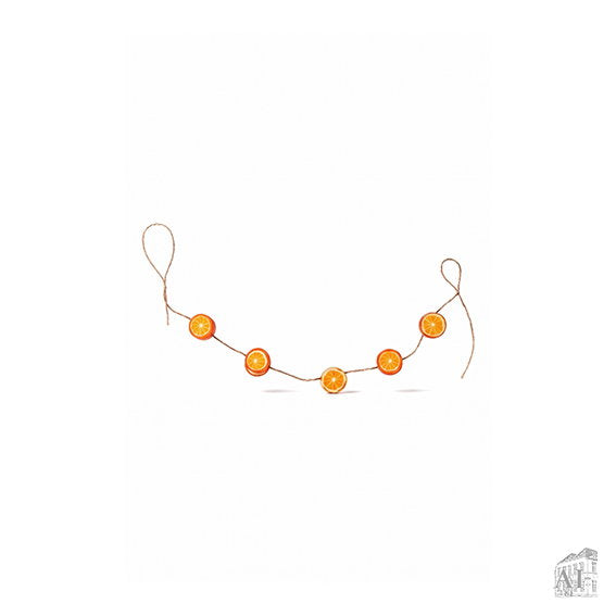 24003036