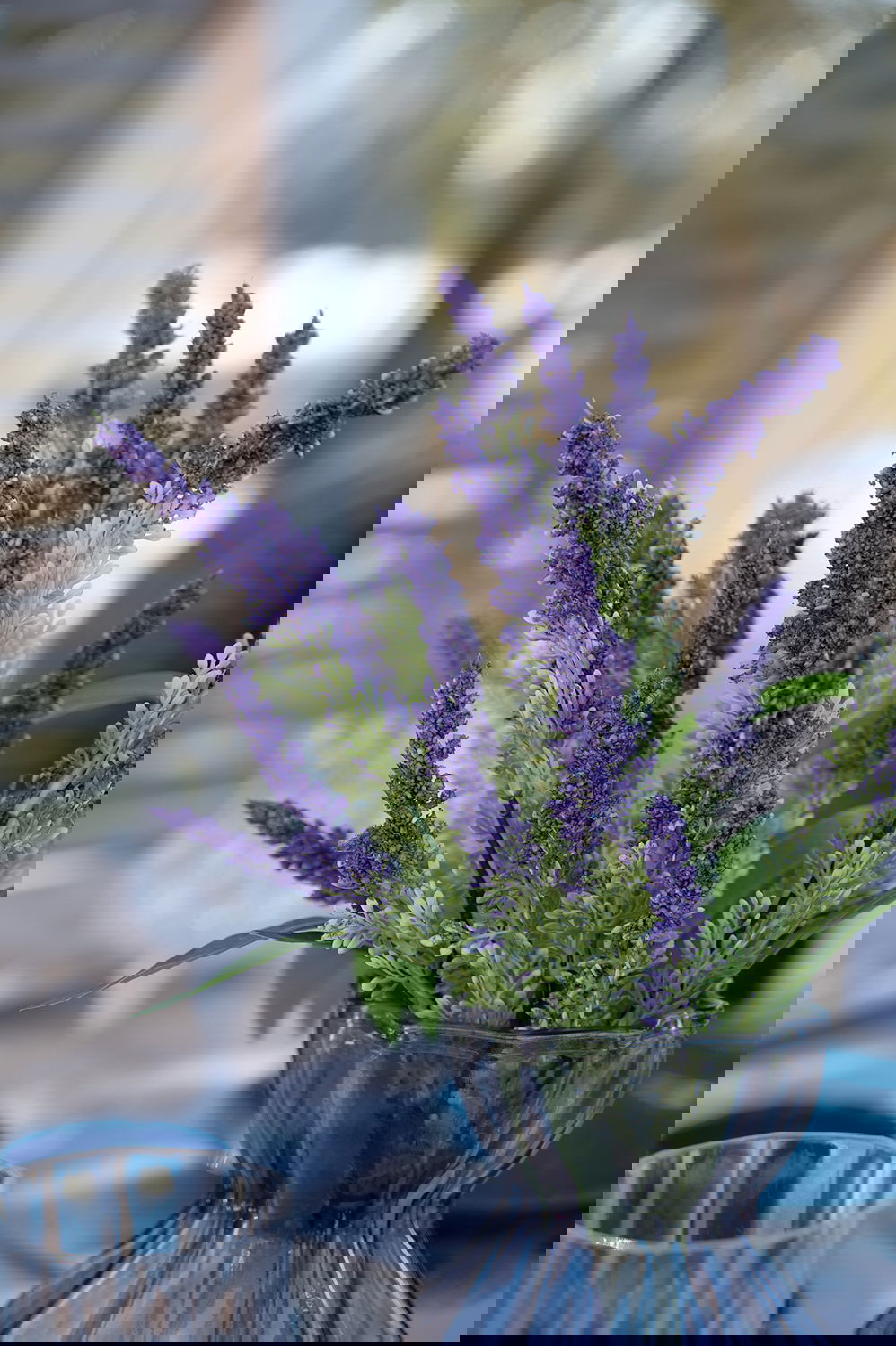 24324060_miljo01