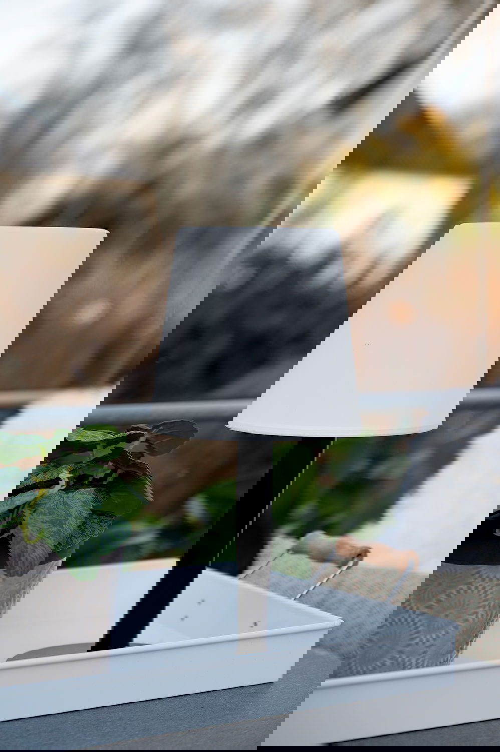 24534025_miljo01