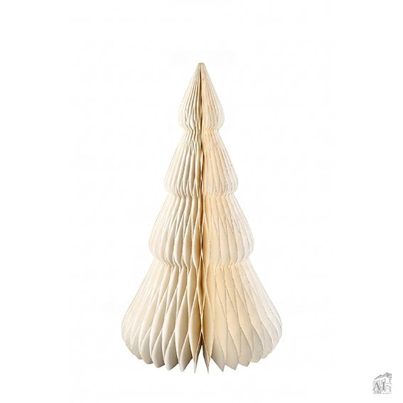 25451064