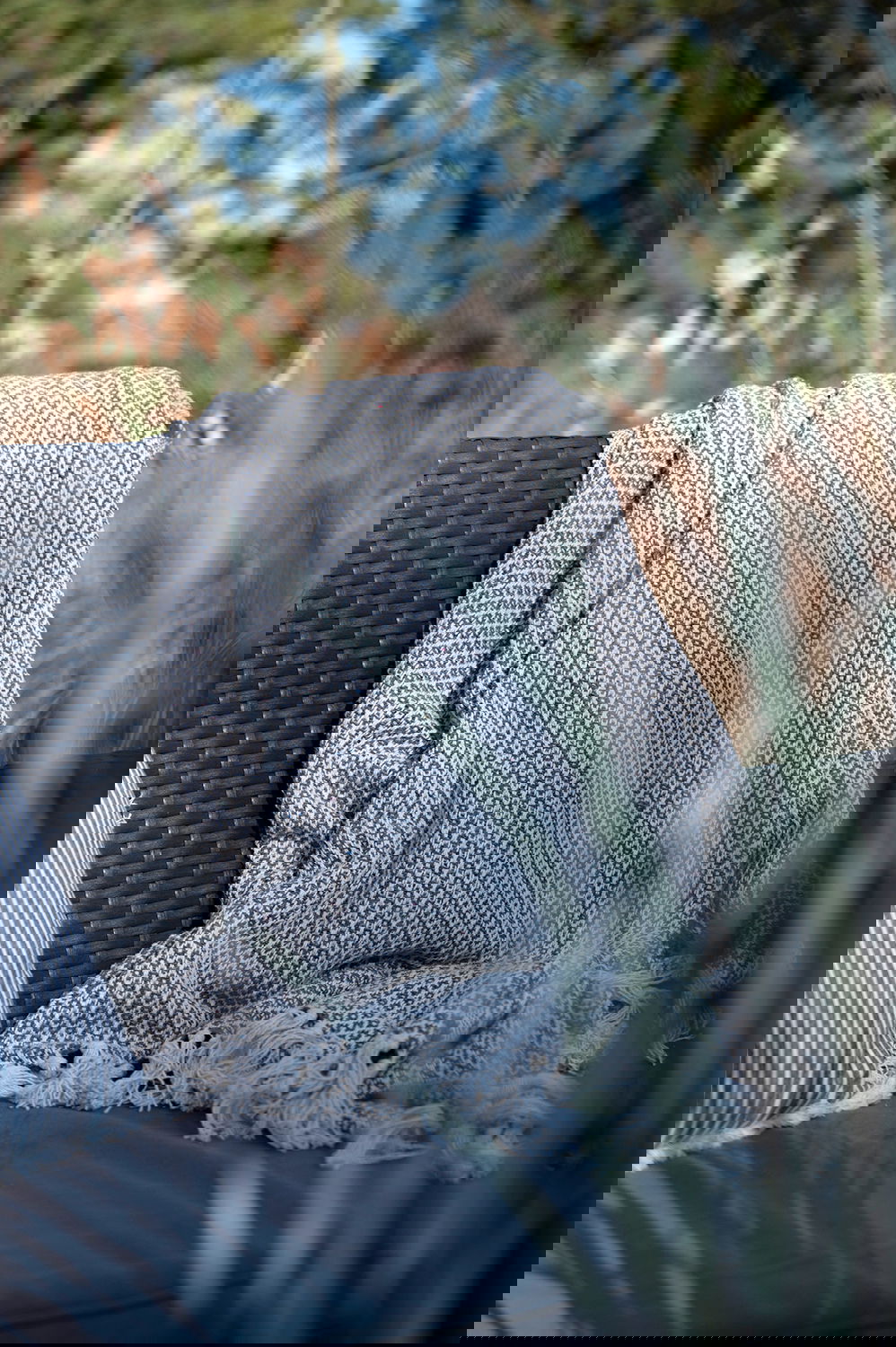26094001_miljo01