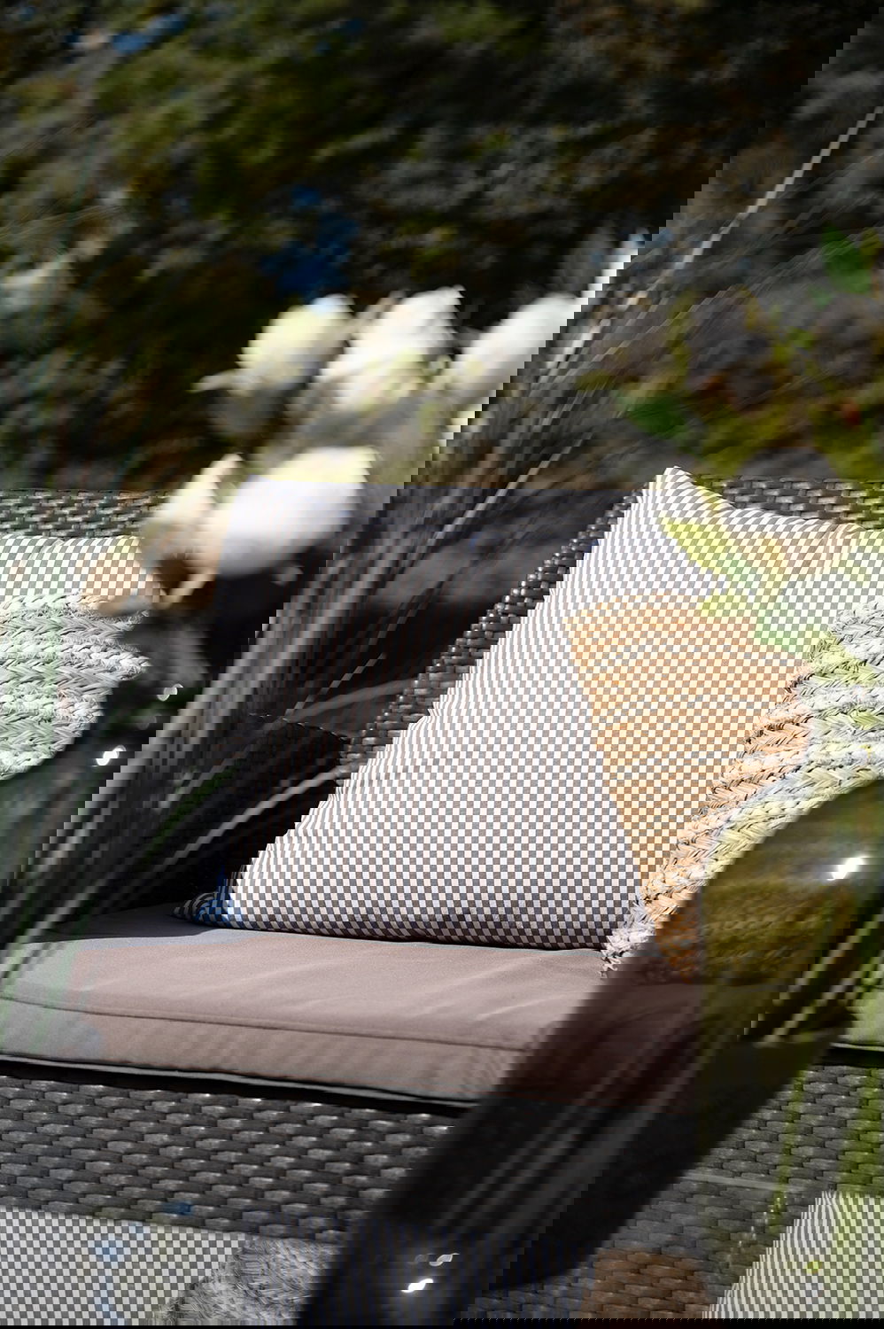 26514004_miljo01