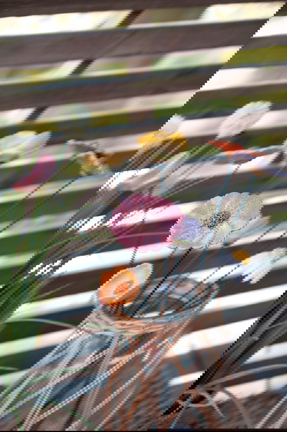 26704077_miljo01