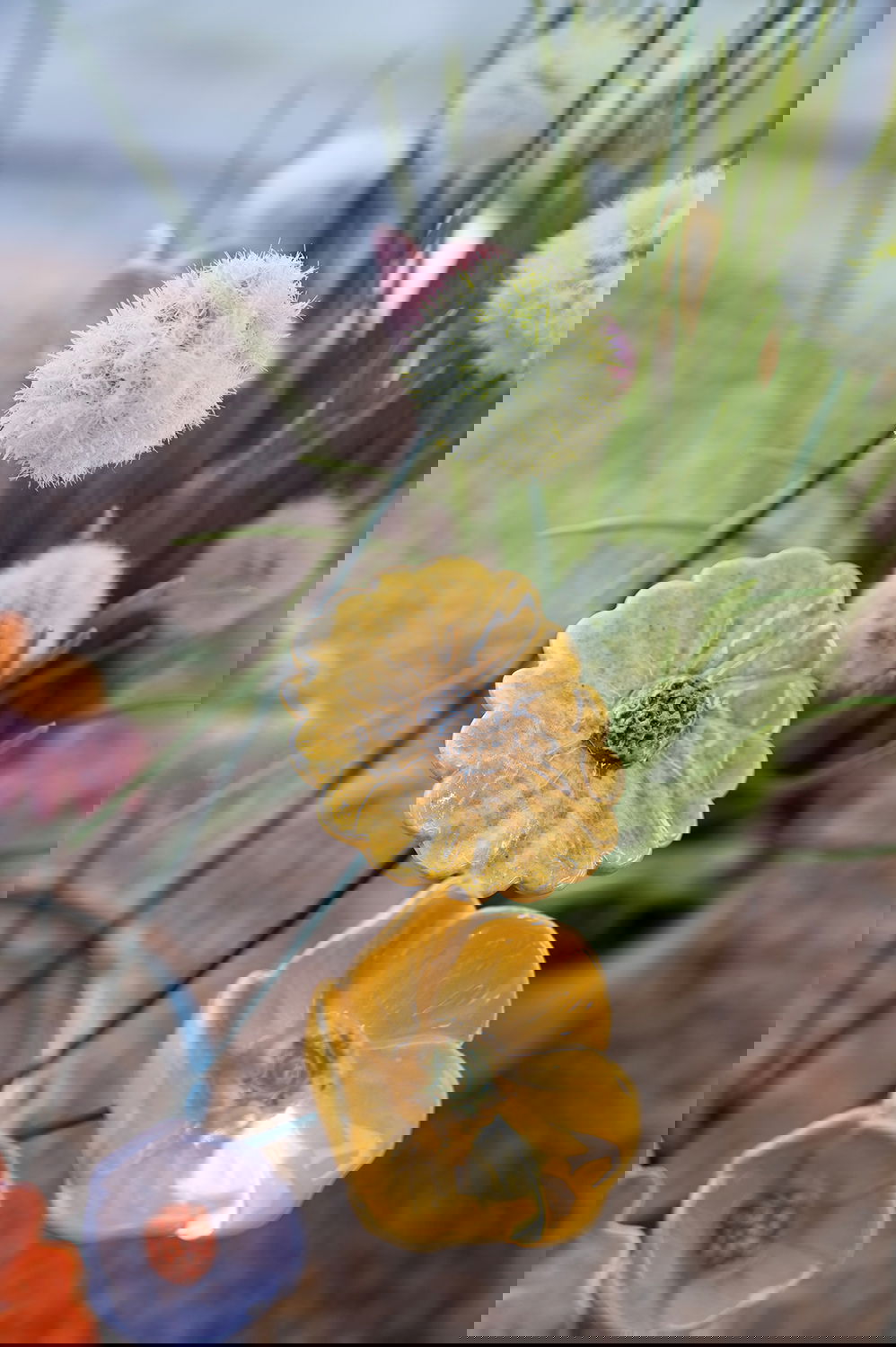 26704078_miljo01