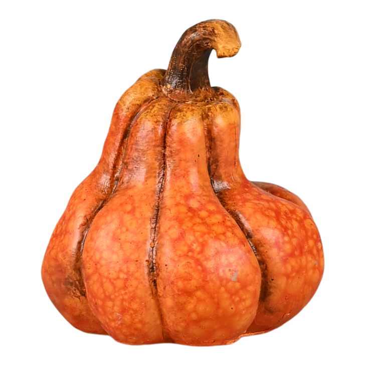 27555007