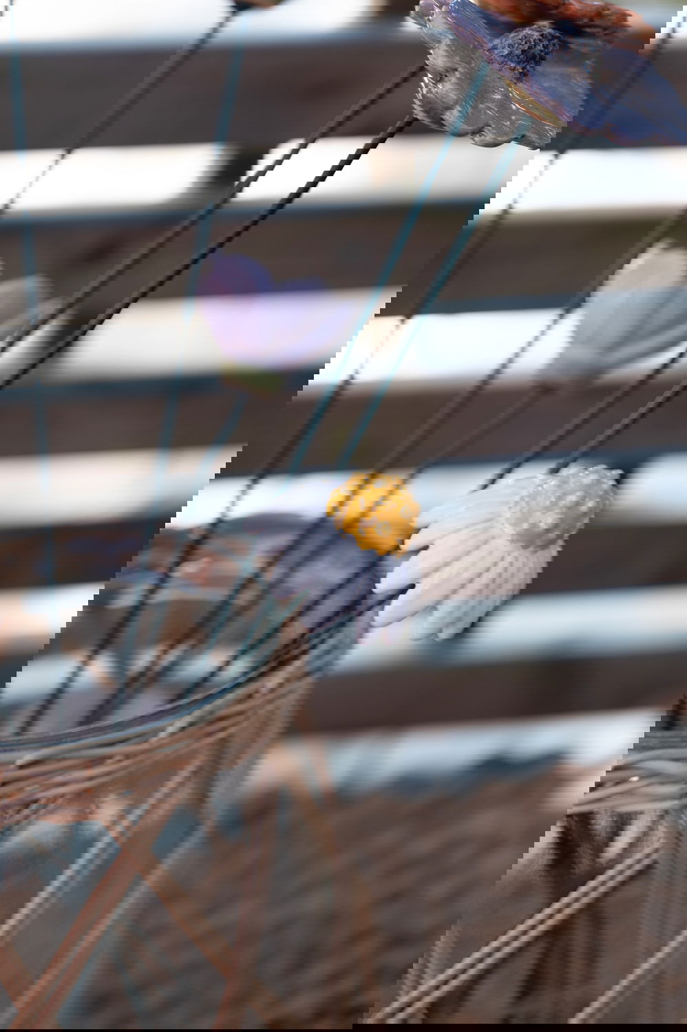 29004244_miljo01