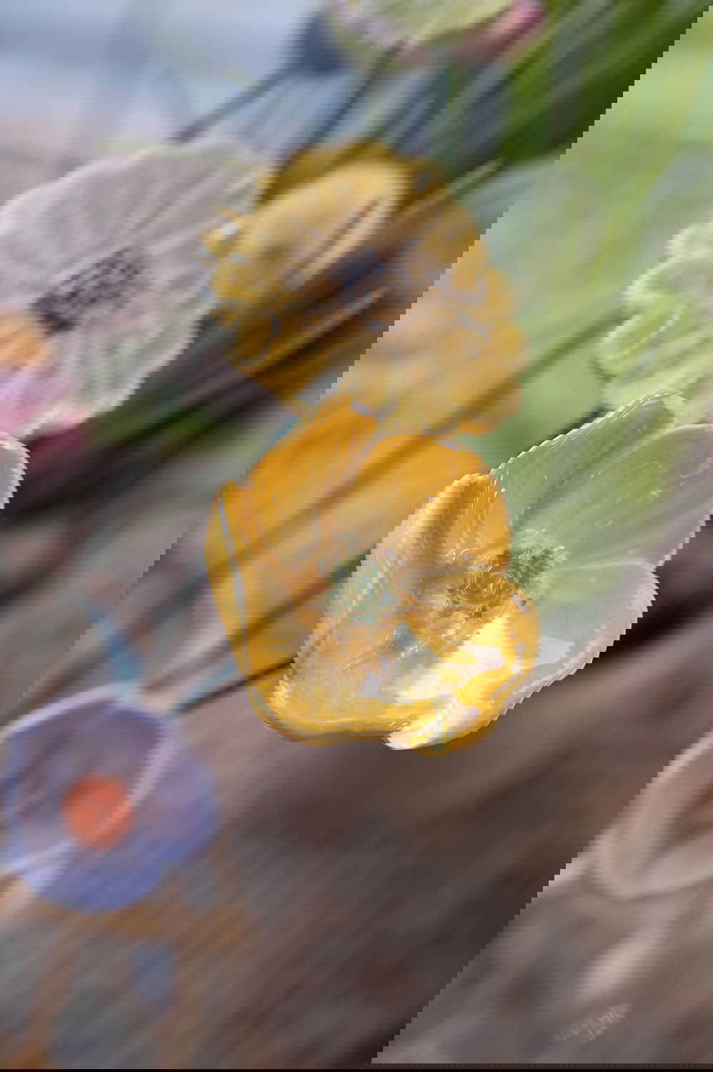 29004245_miljo01