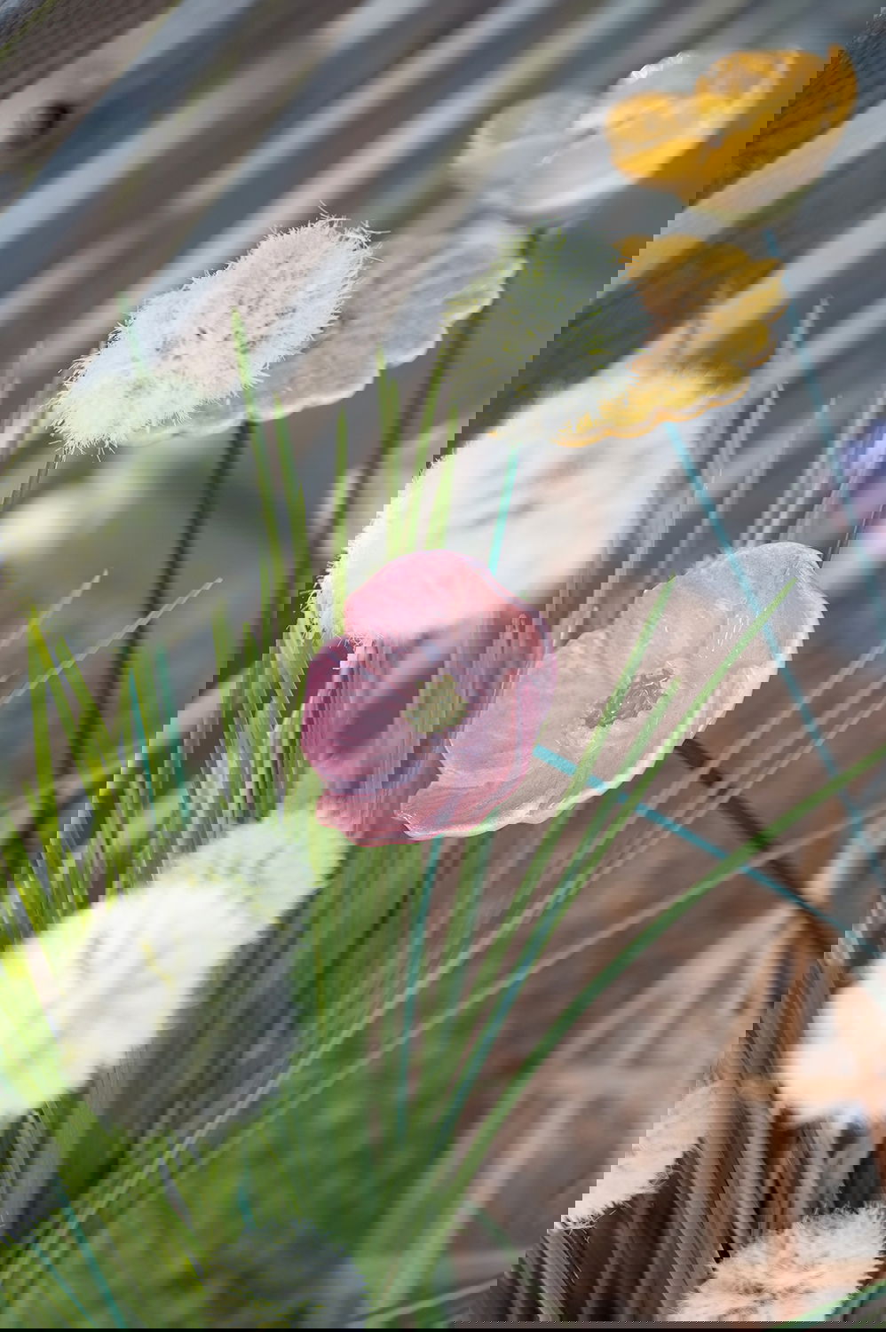 29004246_miljo01
