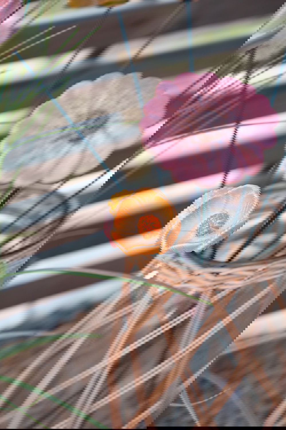 29004247_miljo02