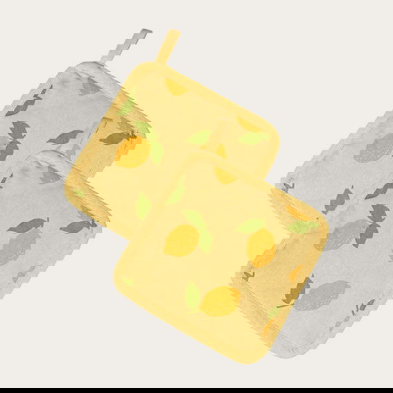 30004066