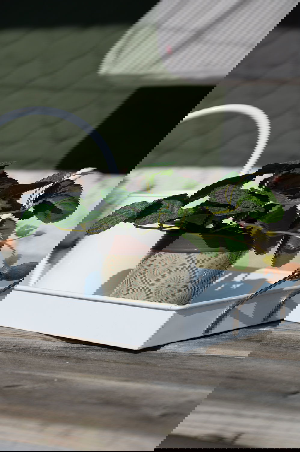 51004000_28704005_22624013_miljo_01