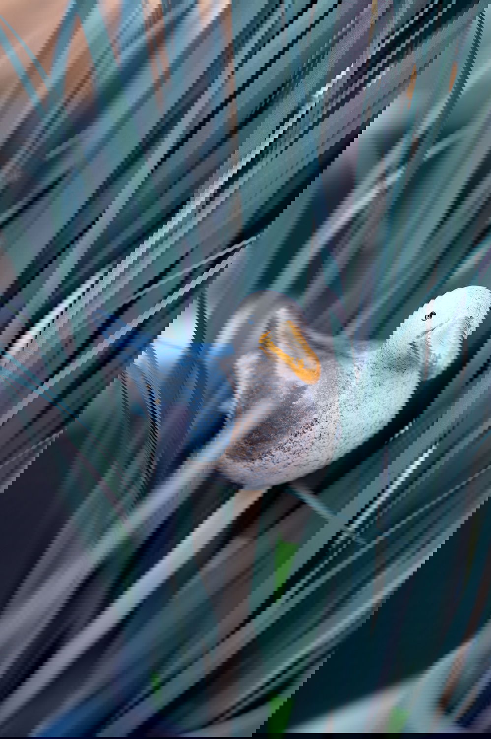 83004226_miljo01