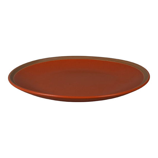 Orange dinner plate