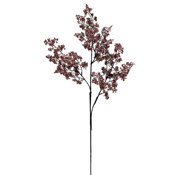 27704011.jpg