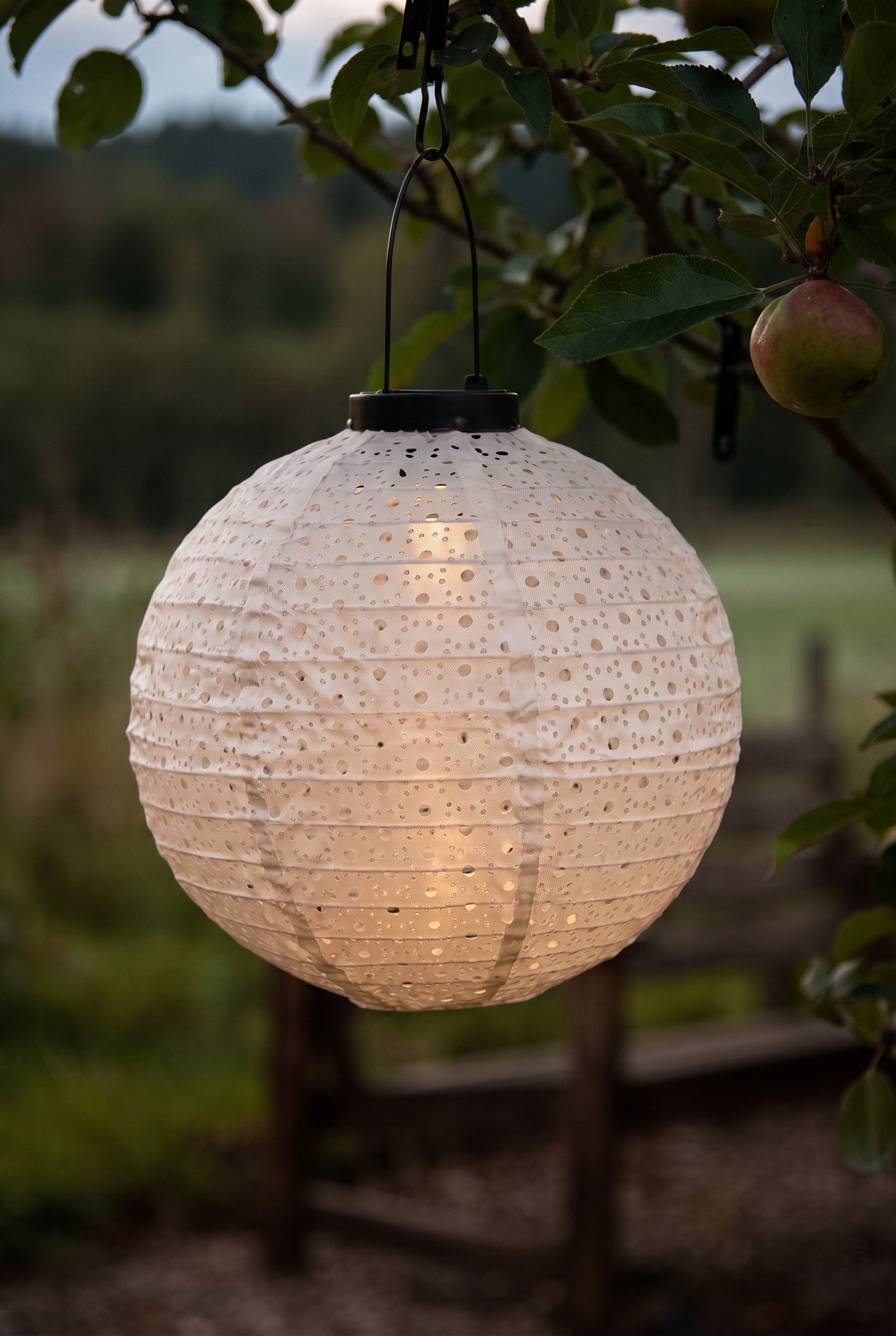 Solar lantern