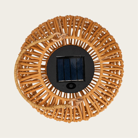 29744001_1.jpg