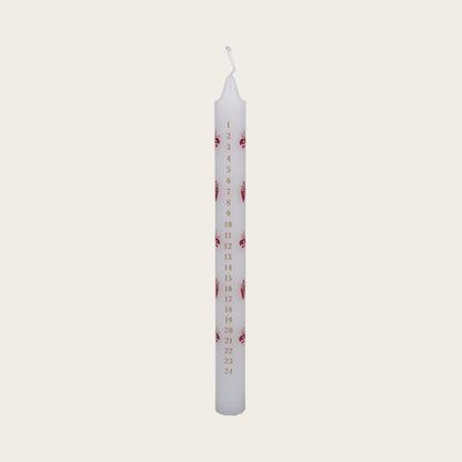 30001251