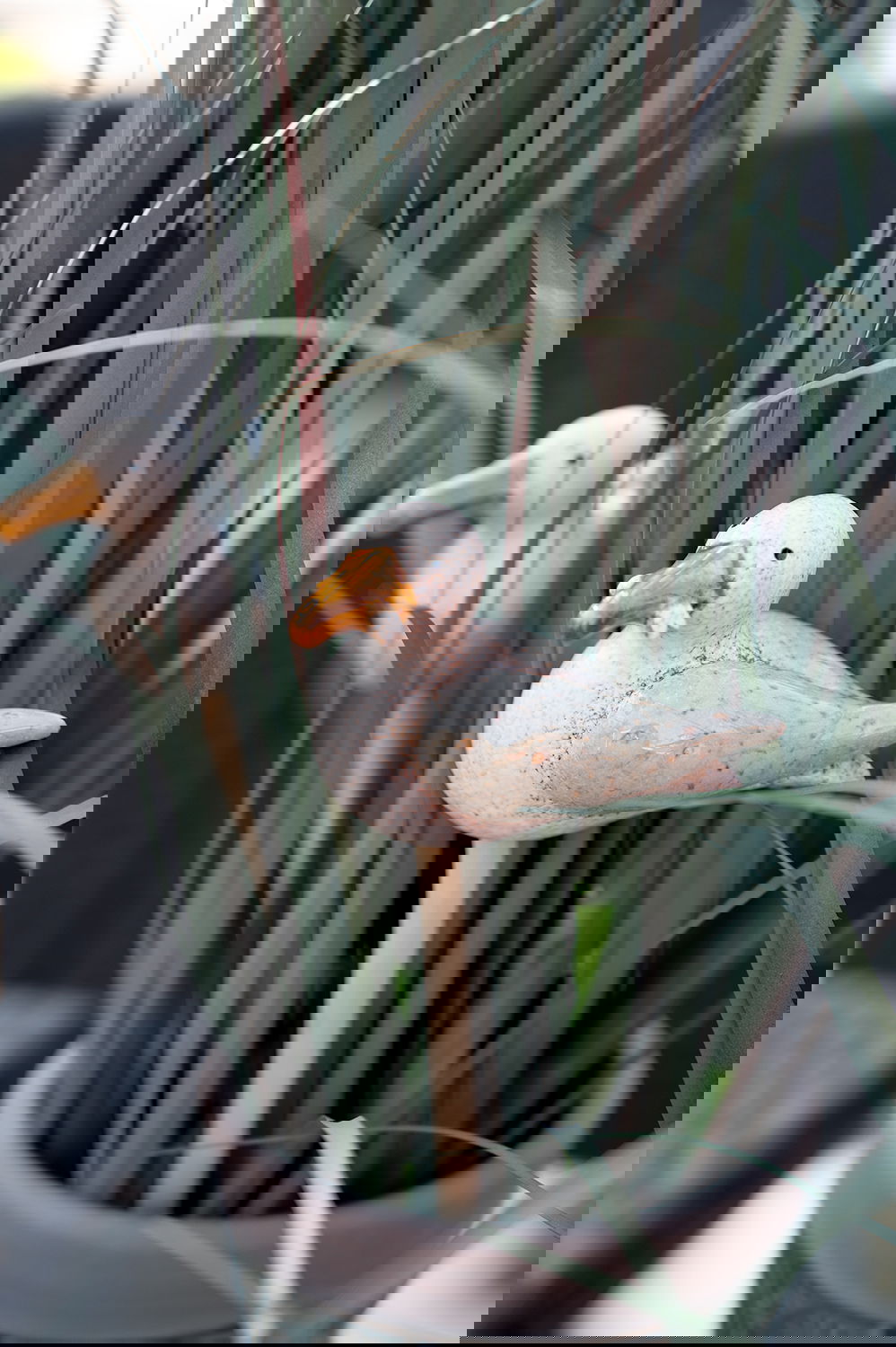 83004225_miljo01
